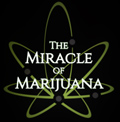 The Miracle of Marijuana